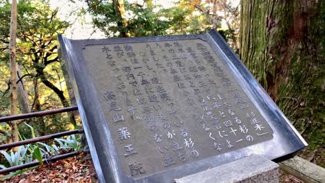 Tagesausflug-Zum-Mount-Takao:-Erkunden-Sie-Tokios-Lieblingsberg