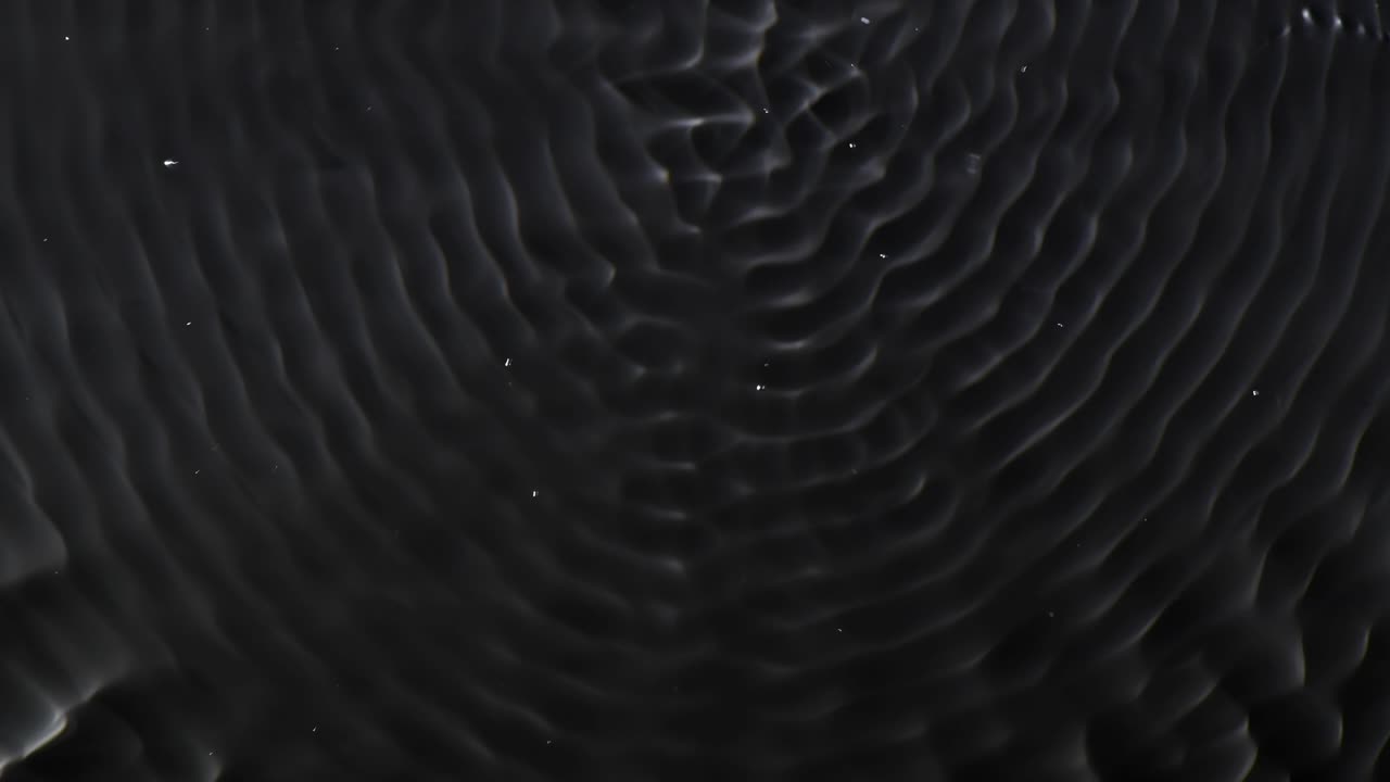 I continue to attempt to train The Animated Gray Moonflower, but often it rebels and does its own thing - For more, search "AbstractVideoClip" using the quotation marks