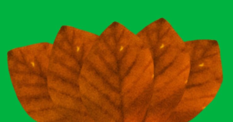 Digital animation of multiple red autumn leaves against black background