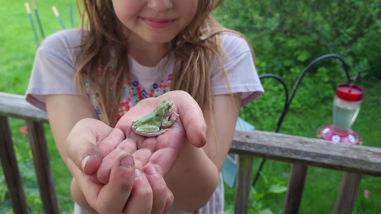 Niña pequeña sostiene una rana arbórea gris de Cope en su mano y la muestra a la cámara, Michigan, EE. UU.