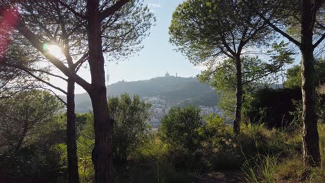 sunlight shines through trees in park guell, illuminating the city of barcelona and the expiatory church of the sacred heart of jesus on tibidabo mountain in the distance