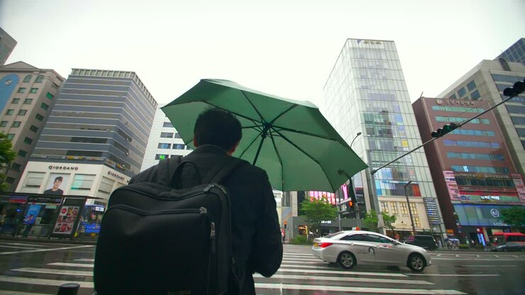 Man With Umbrella at Zebra Crossing