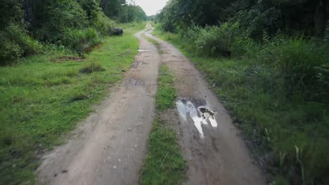 looking backwards driving down a dirt road in the jungle