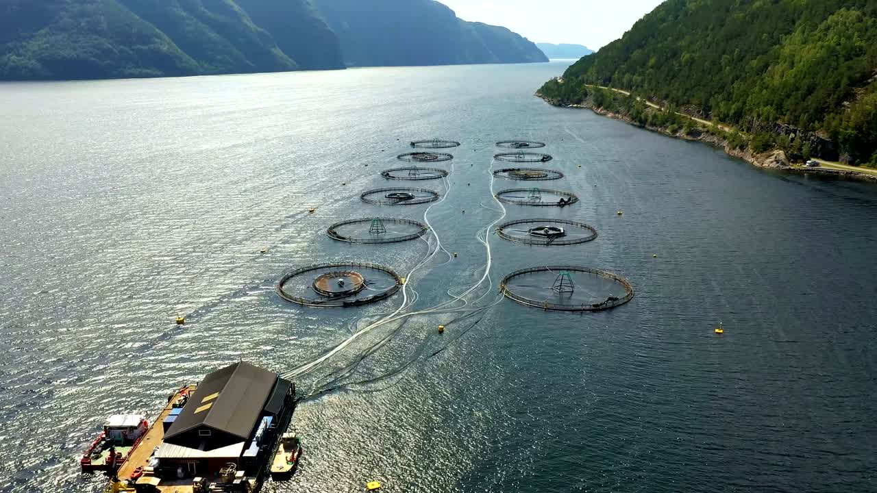 노르웨이에서 연어  ⁇ 시를 하는 공중 촬영