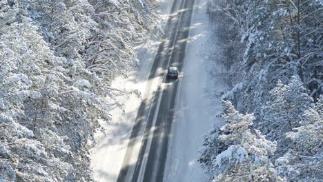 road in the snowy forest. drone aerial view. winter landscape in lithuania