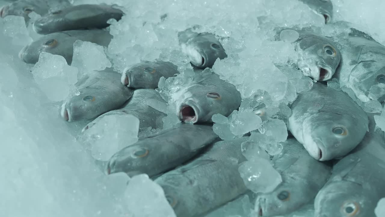 얼음 위의 신선한 생선