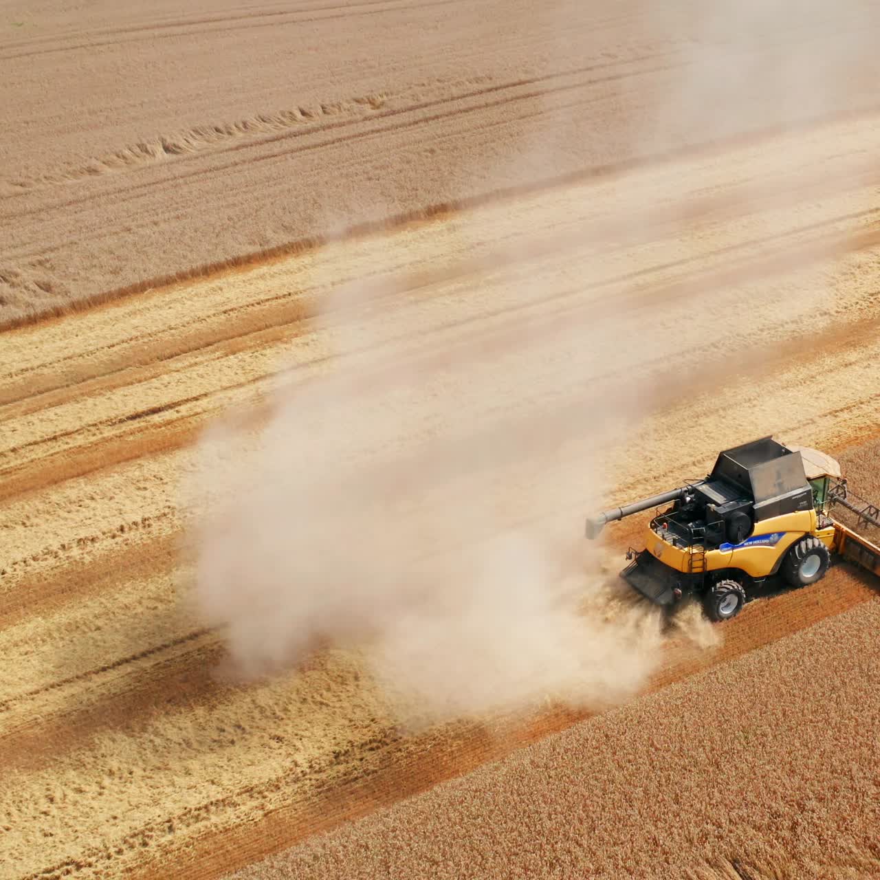 Ripe dry wheat being mowed by the modern yellow harvester. Heavy machinery picking crops in the vast farmlands. Top view