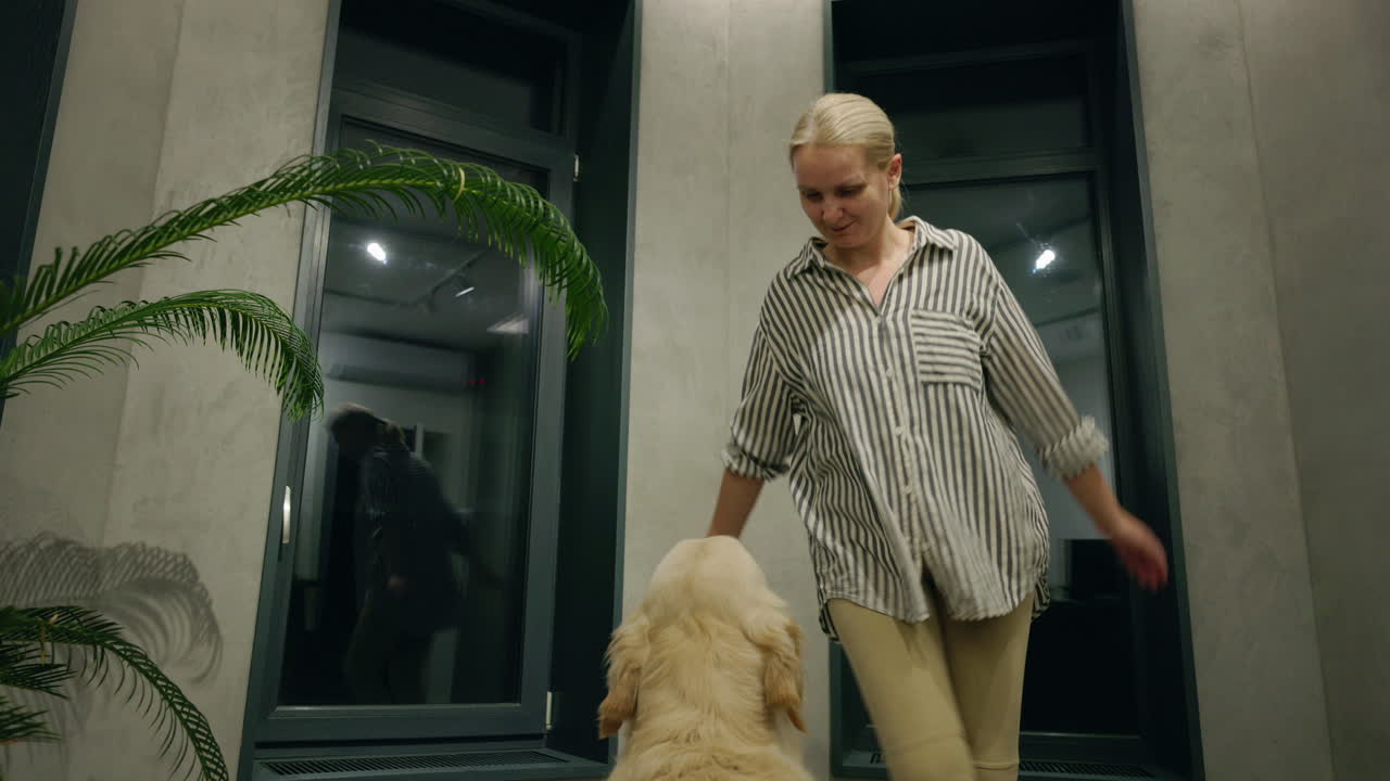 골든 리트리버 개 와 상호 작용 하는 여자