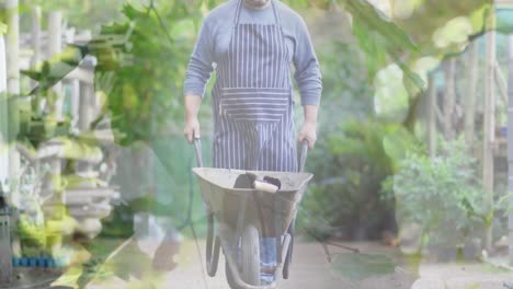 composite video of hanging leaves against caucasian senior man moving a garden cart in the garden