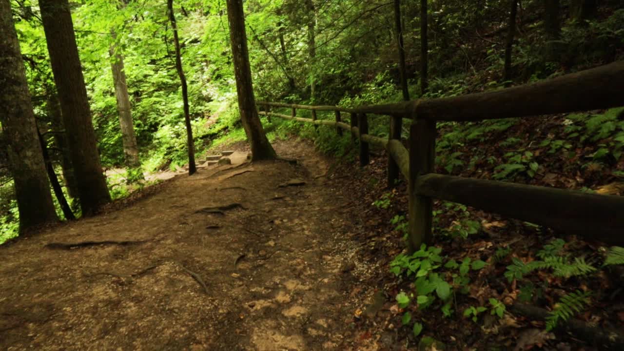 Nature Hike at Natural Bridge State Park, Kentucky