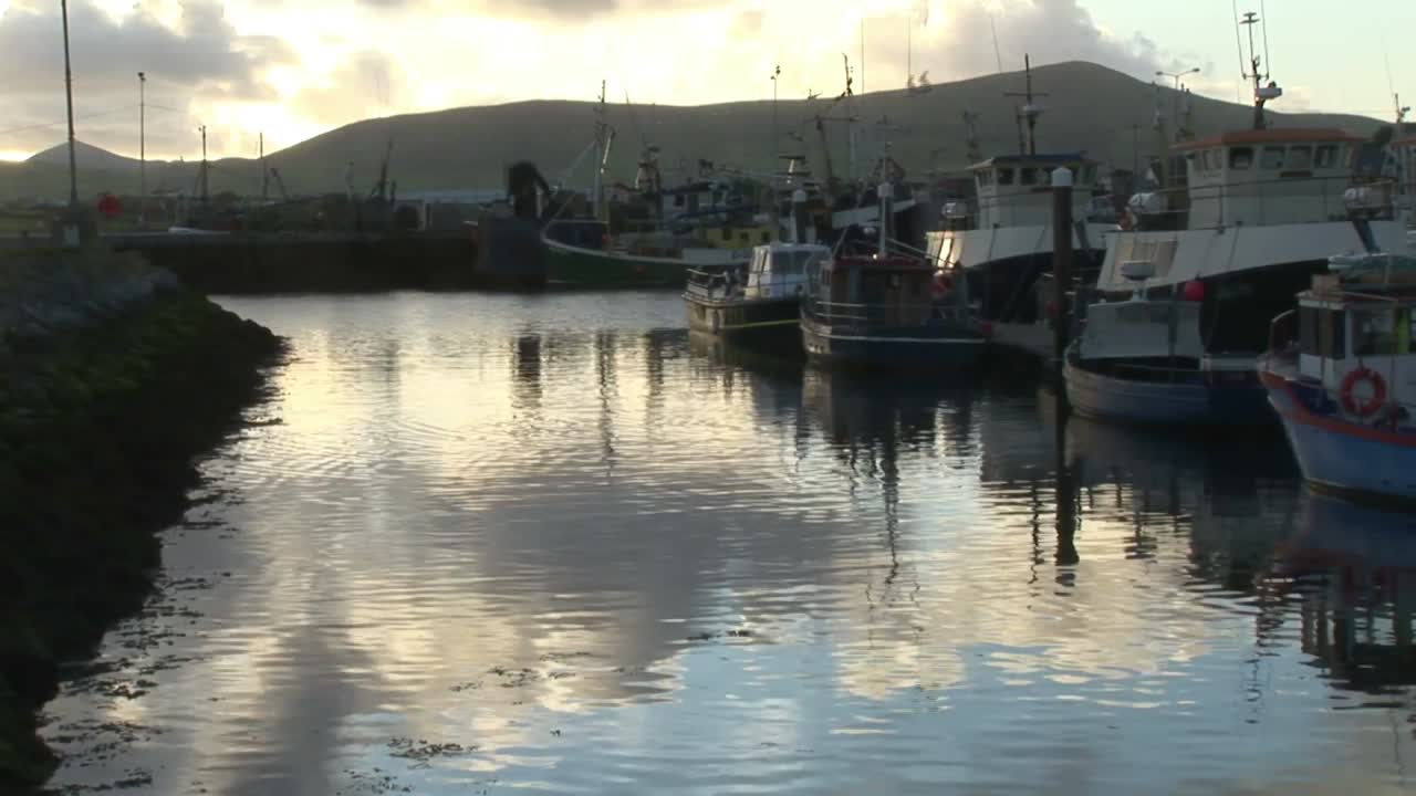 아일랜드의 딩글의 스 ⁇  영상