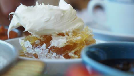 honeycomb with whipped cream