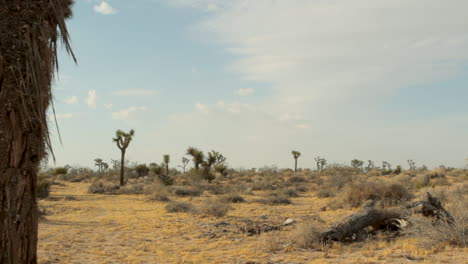 Paisaje-Desértico-Durante-El-Día