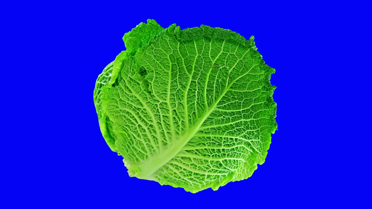 repollo verde sobre un fondo azul