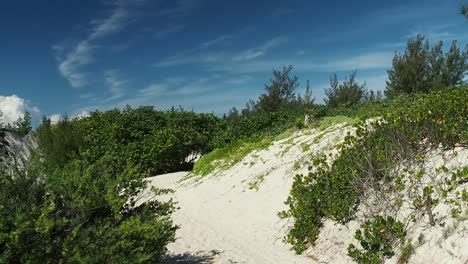 Beach-like-trails-that-connects-to-Bermuda-South-Shore-beaches