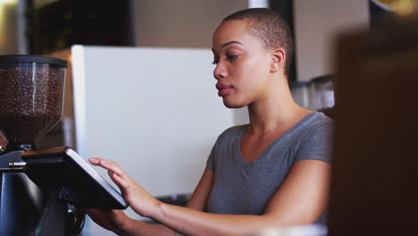 portrait of female coffee shop owner standing at sales desk