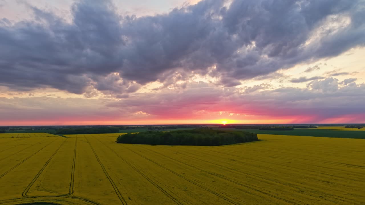 Dramatic sunset over large rapeseed field with vivid light and deep horizon shadows