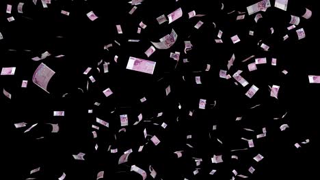 euro bills falling loop with separate alpha channel