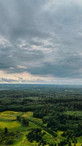 aerial view of a forest under a cloudy sky