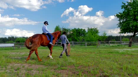 little boy in helmet riding on the horse