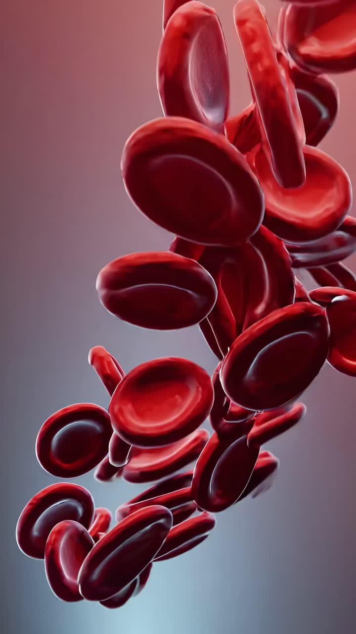 Close-up video of red blood cells in motion, captured from a low angle, highlighting their smooth