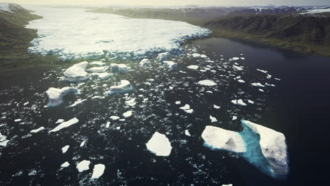 icebergs floating in a serene glacial lake during bright daylight hours