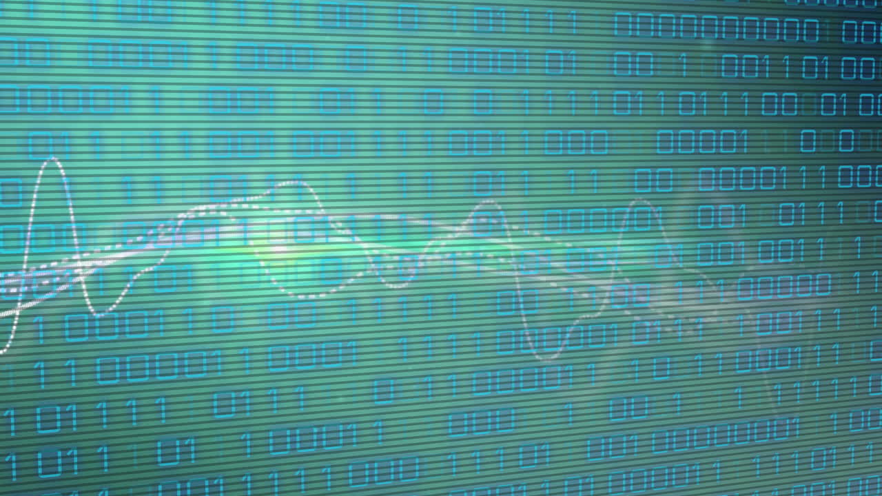 Animation of binary coding data processing over networks of connections