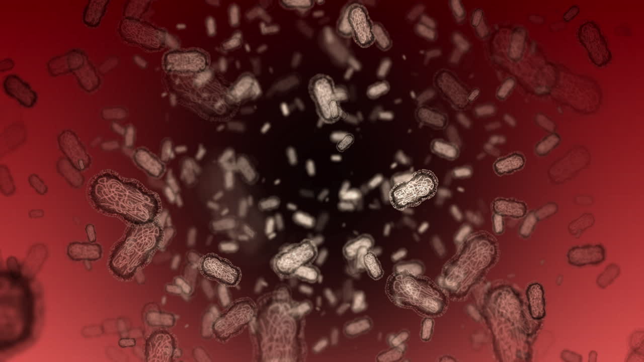 Premium stock video - Bacteria, germs and microscope virus zoom