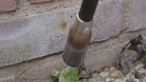 weed burner burning weeds growing between brick wall and garden tiles in slow motion