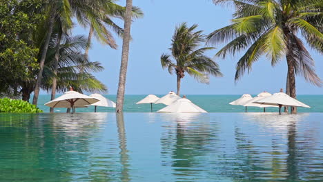 infinity pool, white beach umbellas and coconut palms in a seafront thailand resort lounge on sunny day