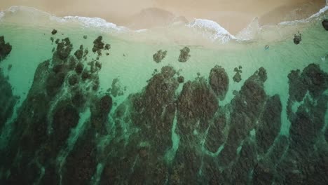 Bird's-Eye,-Aerial-view-above-an-ocean-coral-reef-beach-in-Hawaii