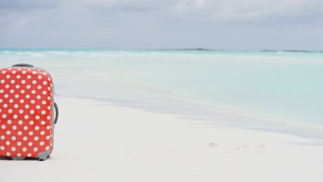 white luxury tropical beach with a colourful suitcase