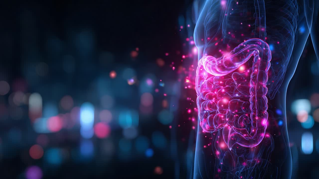 A Captivating Visualization of the Human Digestive System: Exploring the Intricacies and Functions of the Intestines in a Glowing, Ethereal Display