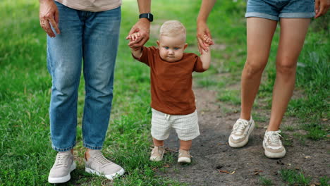 unrecognized mom and dad leading their toddler baby by the hands outdoors. cute kid taking his first steps in the park in summer.