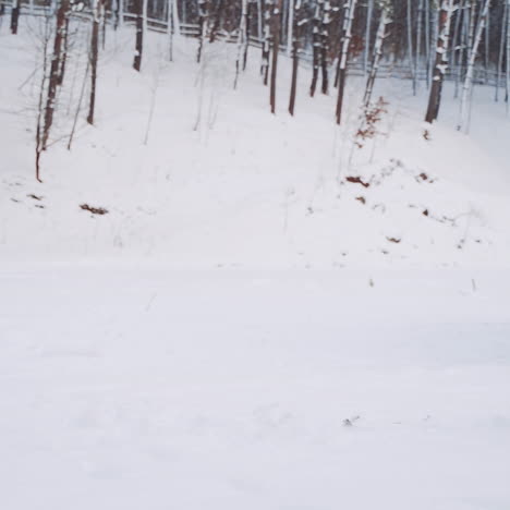 young elf girl in green suit and a hat is running in the snow joyfully. two friends elves are playing snowballs together in winter on the background of the forest. slow motion.