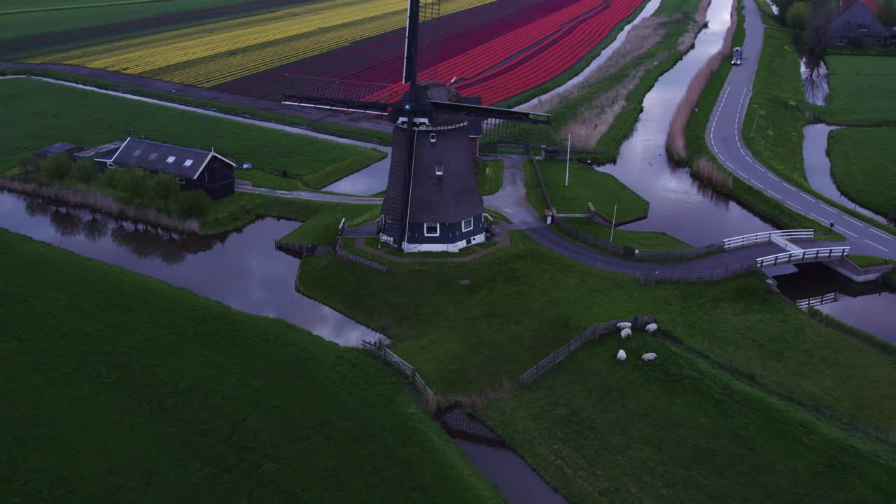 Vista aerea di Heerhugowaard con Veenhuizer, mulino a vento, tulipani, che mostra un delicato paesaggio rurale nei Paesi Bassi.