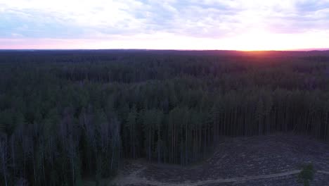 fiery sunset behind beautiful green forest landscape -aerial