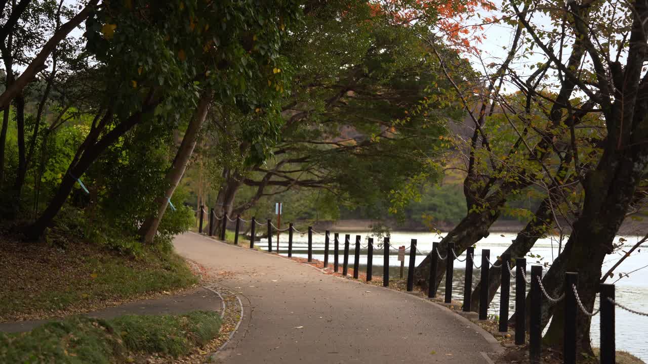Nagoya Oike Park Walking Path in November