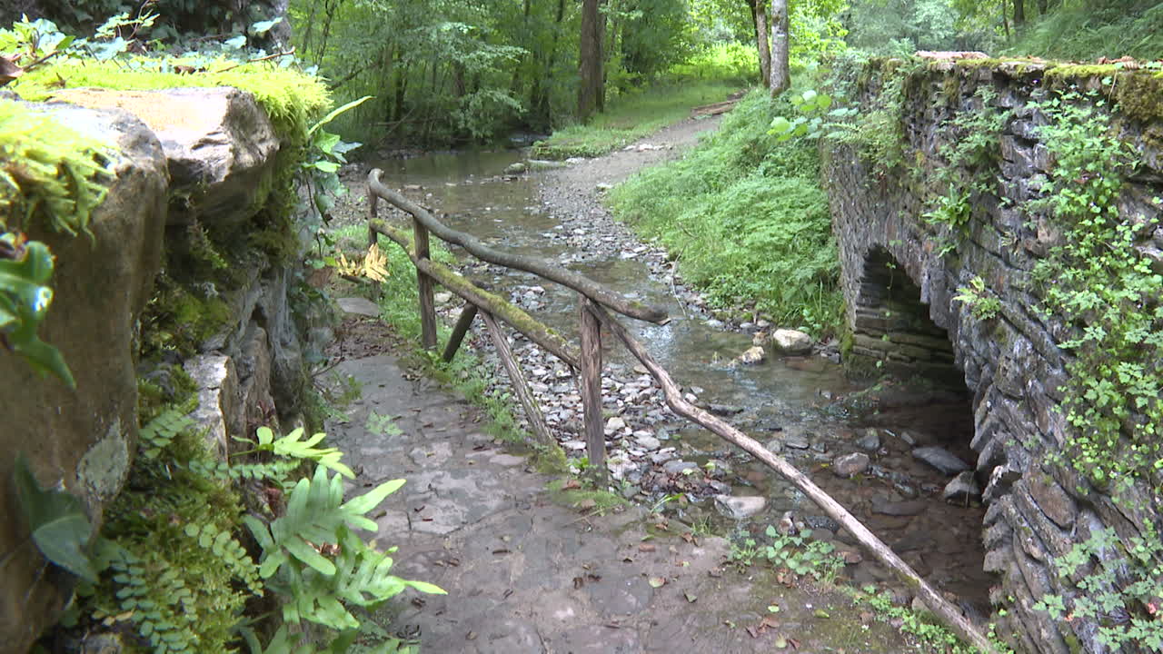 Stone Bridge Over a Creek in a Forest