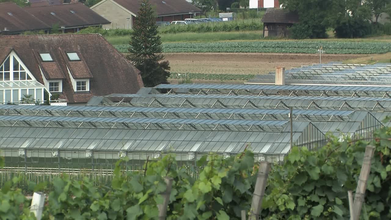 독일 콘스턴스 호수에서 그린 하우스의 중간 샷