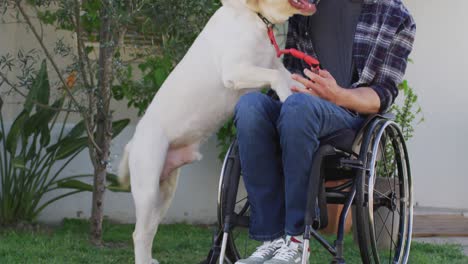 hombre discapacitado caucásico sonriente en silla de ruedas jugando con un perro mascota en la calle