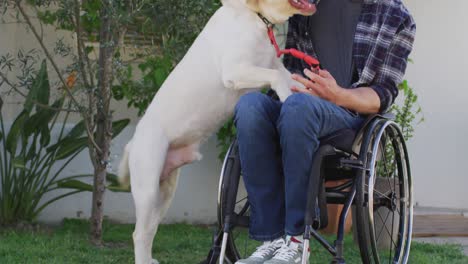 smiling caucasian disabled man in wheelchair playing with pet dog in street