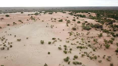 Outdoor-nature-drone-aerial-going-forward-and-down-over-desert-australian-bush-outback