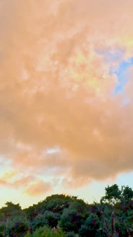 vibrantes cielos de puesta de sol sobre la exuberante vegetación a lo largo de great ocean road, australia, capturado en un sereno time-lapse de 22 segundos
