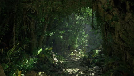 discovering lush greenery in a tranquil jungle pathway during daylight