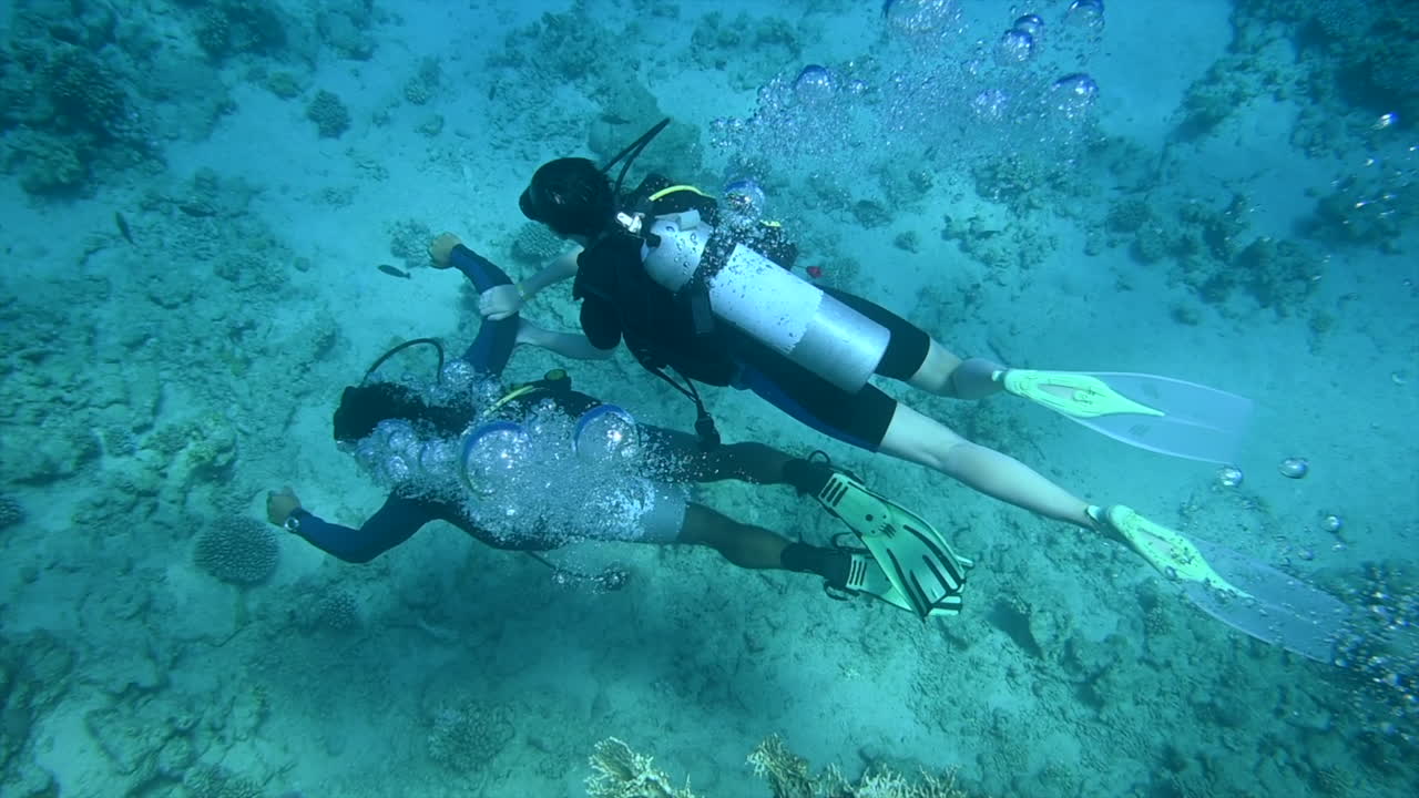 Divers swimming and exploring in the red sea