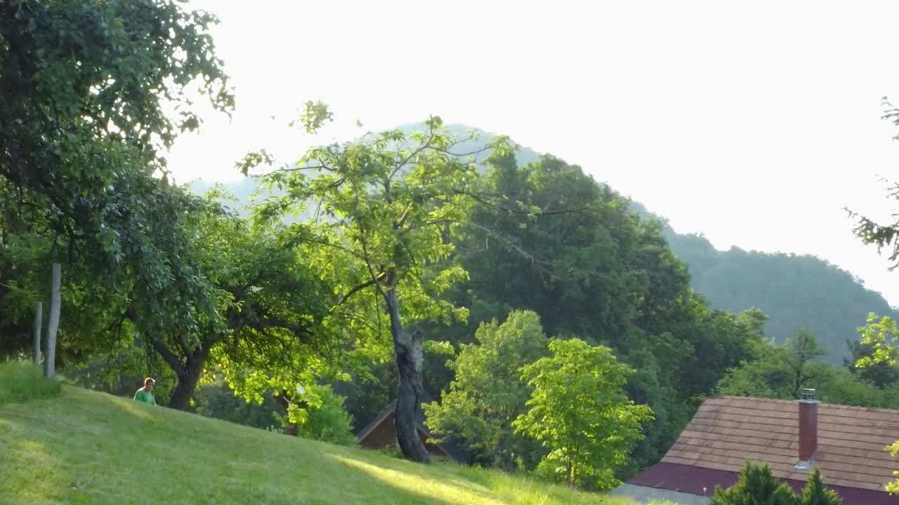 木の枝を避けて果樹の周りを回りながらガソリンロータリー芝刈り機で芝刈りをしている男性