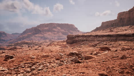 grand canyon in arizona at sunny day