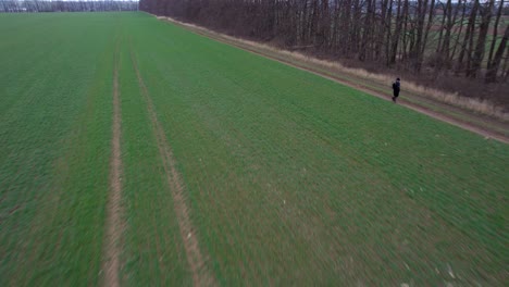 A-male-farmer-walking-along-the-edge-of-a-sown-green-field-on-a-cold-spring-morning