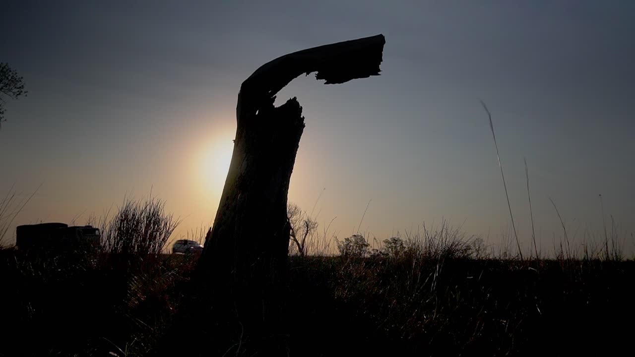 Sunset Silhouette of a Broken Tree Stump